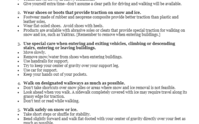 Member Alert – Winter Safety